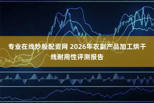 专业在线炒股配资网 2026年农副产品加工烘干线耐用性评测报告